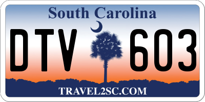 SC license plate DTV603