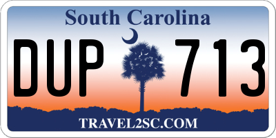 SC license plate DUP713