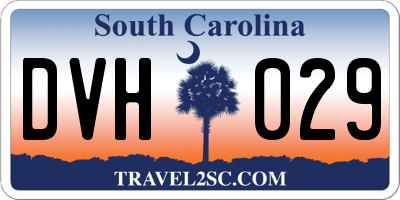 SC license plate DVH029