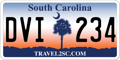 SC license plate DVI234