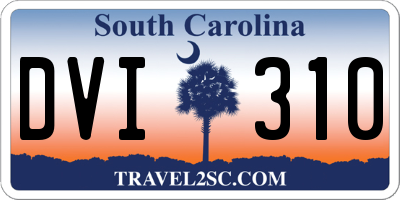 SC license plate DVI310