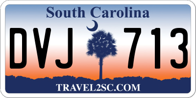 SC license plate DVJ713