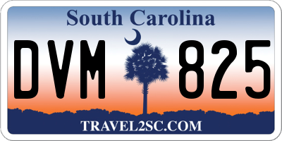 SC license plate DVM825