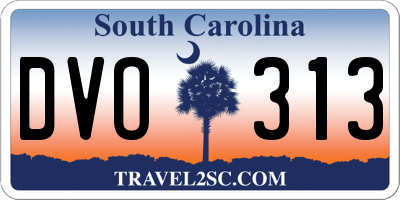 SC license plate DVO313