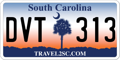 SC license plate DVT313
