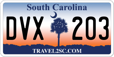 SC license plate DVX203