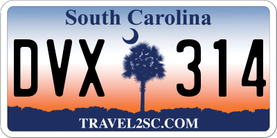SC license plate DVX314