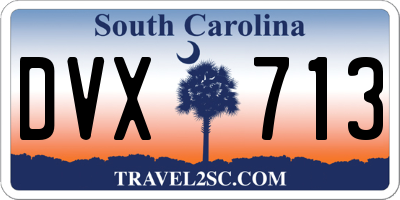 SC license plate DVX713