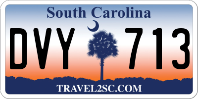 SC license plate DVY713