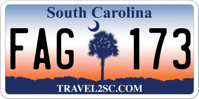 SC license plate FAG173