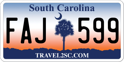 SC license plate FAJ599