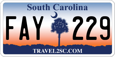 SC license plate FAY229