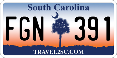 SC license plate FGN391