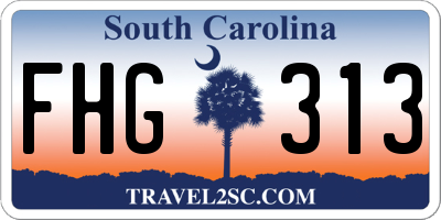 SC license plate FHG313