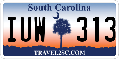 SC license plate IUW313