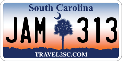 SC license plate JAM313