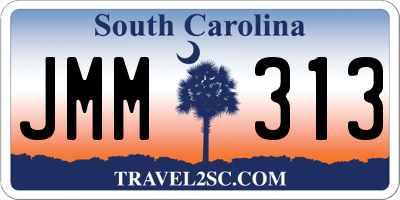 SC license plate JMM313
