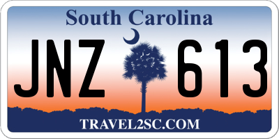 SC license plate JNZ613