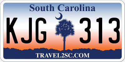 SC license plate KJG313