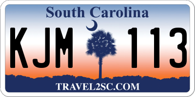SC license plate KJM113