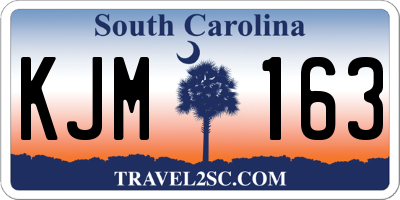 SC license plate KJM163