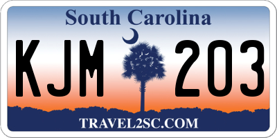 SC license plate KJM203
