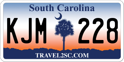 SC license plate KJM228