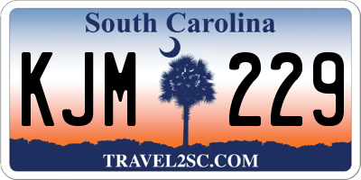 SC license plate KJM229