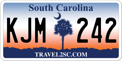 SC license plate KJM242