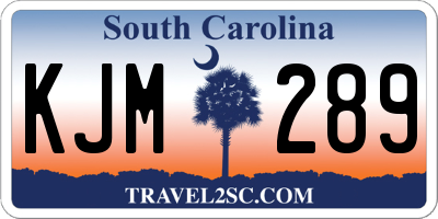 SC license plate KJM289