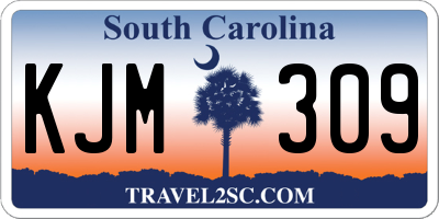 SC license plate KJM309
