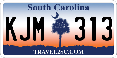 SC license plate KJM313
