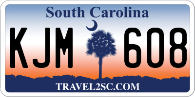 SC license plate KJM608