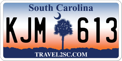 SC license plate KJM613