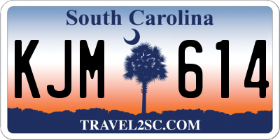 SC license plate KJM614