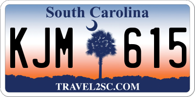 SC license plate KJM615