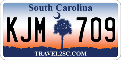 SC license plate KJM709