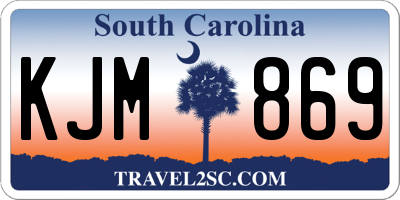 SC license plate KJM869