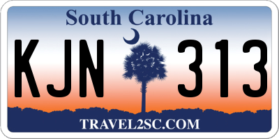 SC license plate KJN313