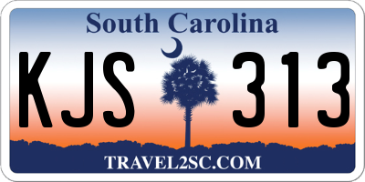 SC license plate KJS313