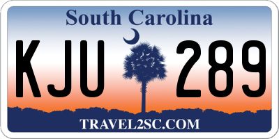SC license plate KJU289