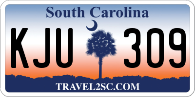 SC license plate KJU309