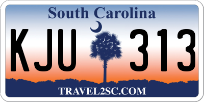 SC license plate KJU313