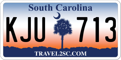 SC license plate KJU713