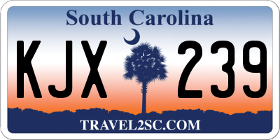 SC license plate KJX239