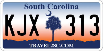 SC license plate KJX313