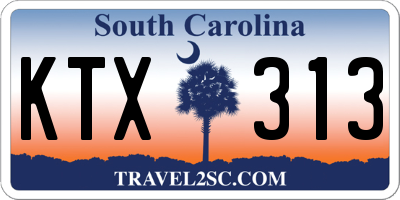 SC license plate KTX313