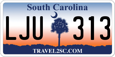 SC license plate LJU313