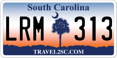 SC license plate LRM313