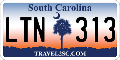 SC license plate LTN313